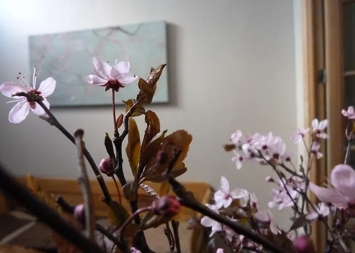 Guest house Alizee 3*