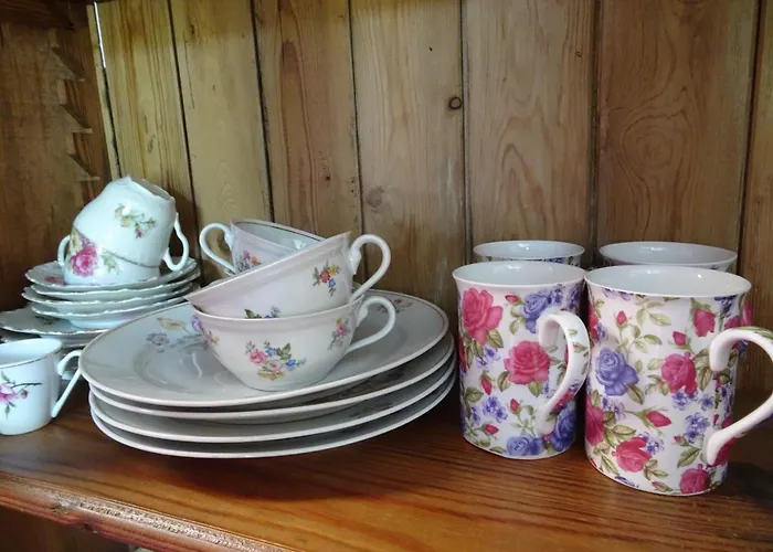 Alizee Guest house Leuven